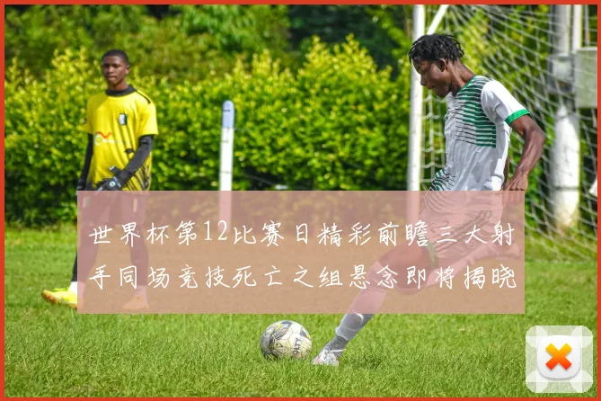世界杯第12比赛日精彩前瞻三大射手同场竞技死亡之组悬念即将揭晓
